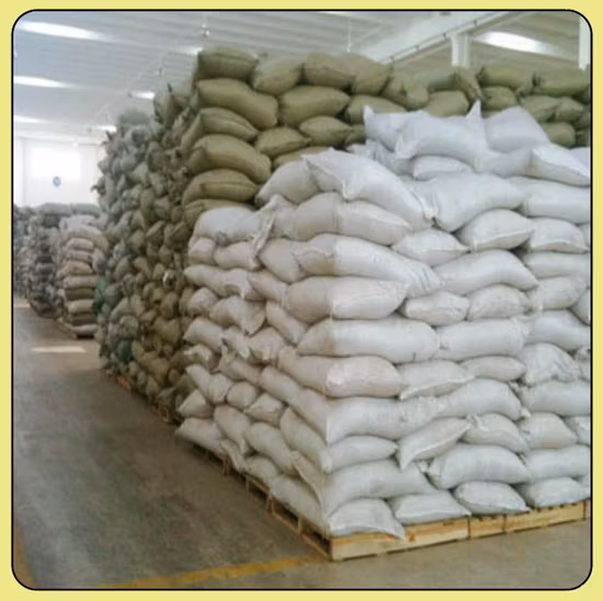 Factory Direct Supply Andrographolide 10%-98% Free Sample Antibiotic Pharmaceutical Antidiabetic Treatment of Colds Andrographis Paniculata Extract