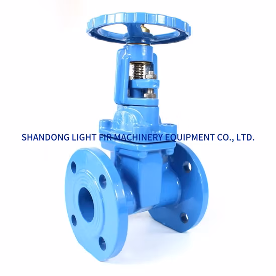 API 6A FC Type Slab Gate Valves