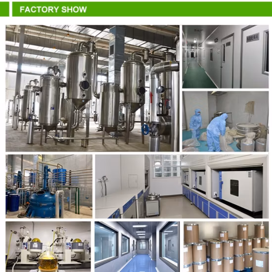Comext Anti-Tumor Activity Plant Extract Morinda Citrifolia Extract / Pure Noni Fruit Extract Free Sample