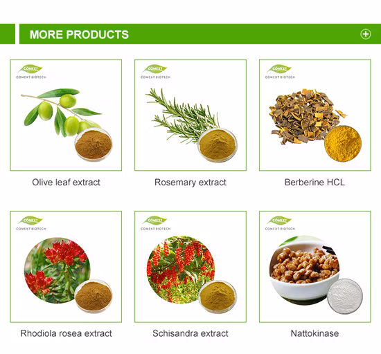 Comext Anti-Tumor Activity Plant Extract Morinda Citrifolia Extract / Pure Noni Fruit Extract Free Sample